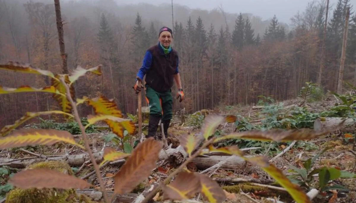 Impressionen aus dem Spessart | © Volkmar Zankl