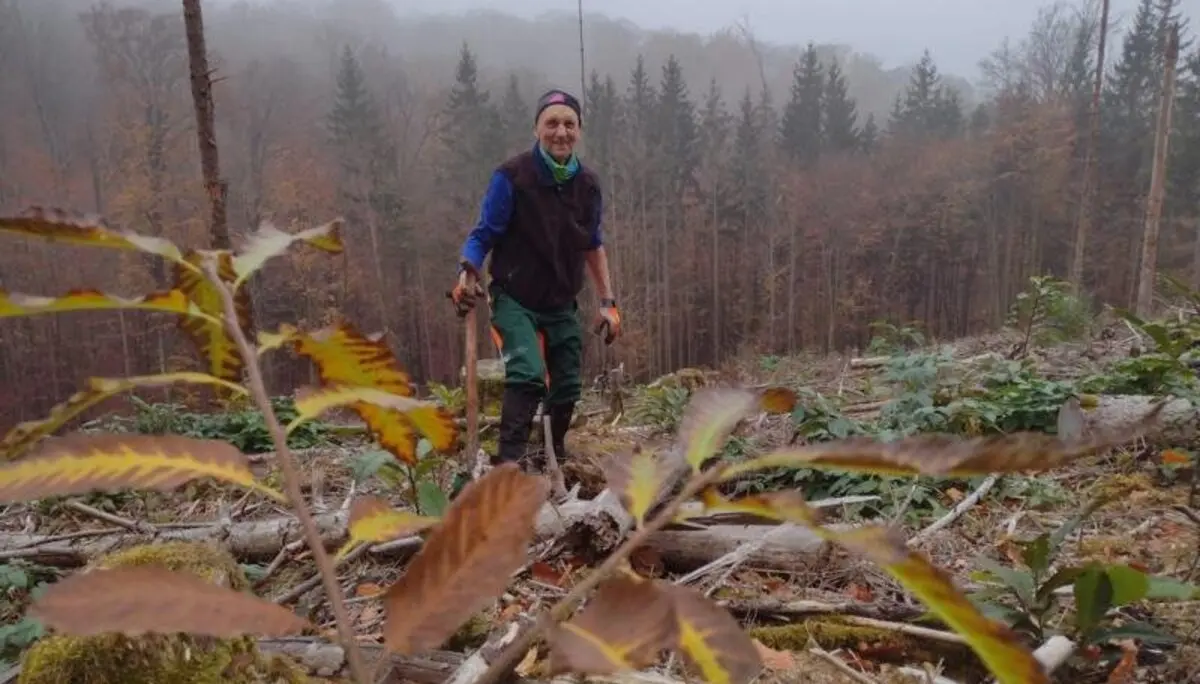 Impressionen aus dem Spessart | © Volkmar Zankl