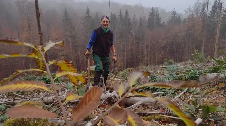 Impressionen aus dem Spessart | © Volkmar Zankl
