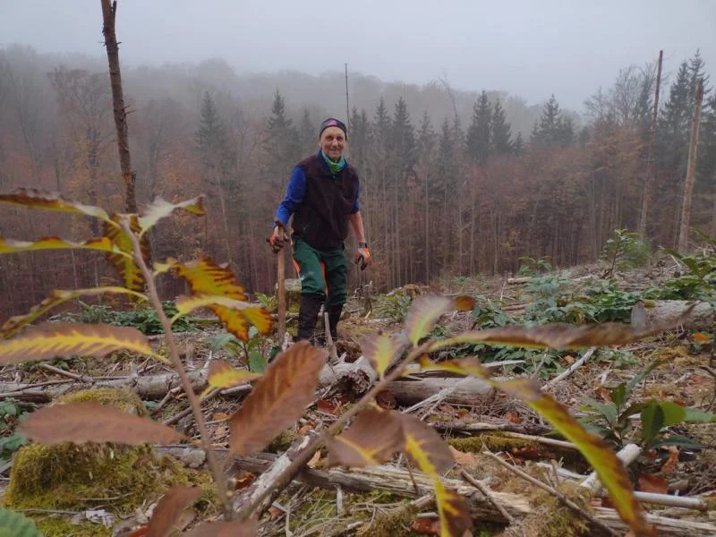 Impressionen aus dem Spessart | © Volkmar Zankl