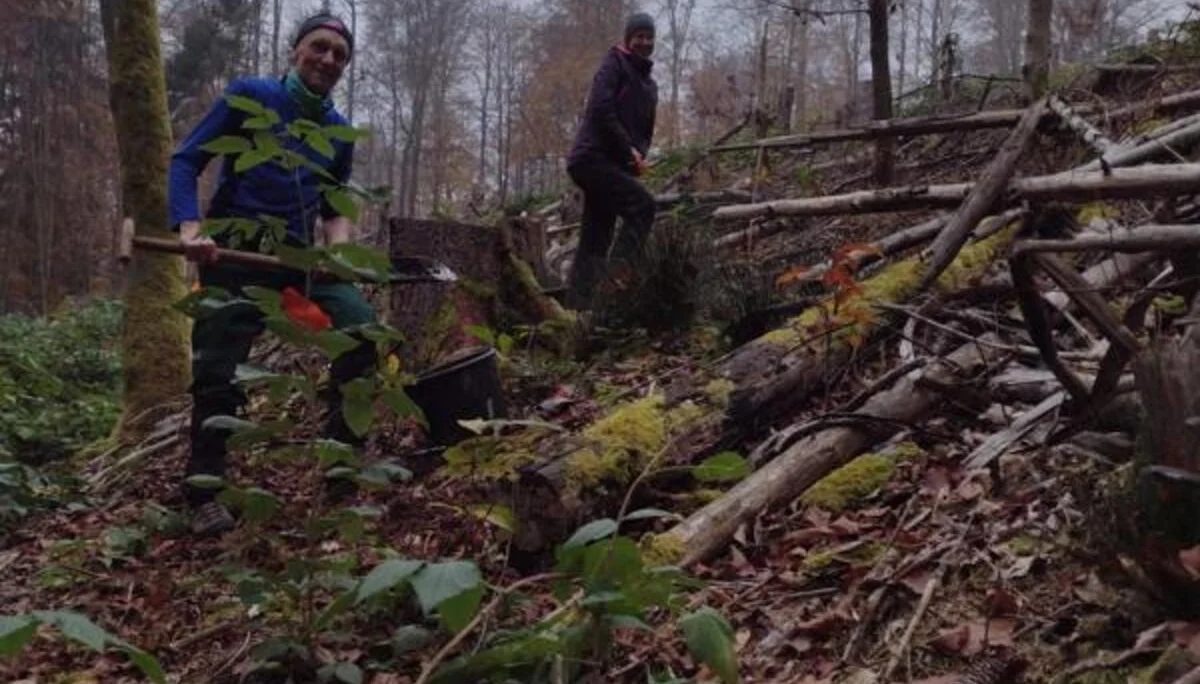Impressionen aus dem Spessart | © Volkmar Zankl