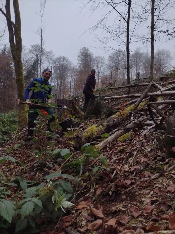 Impressionen aus dem Spessart | © Volkmar Zankl