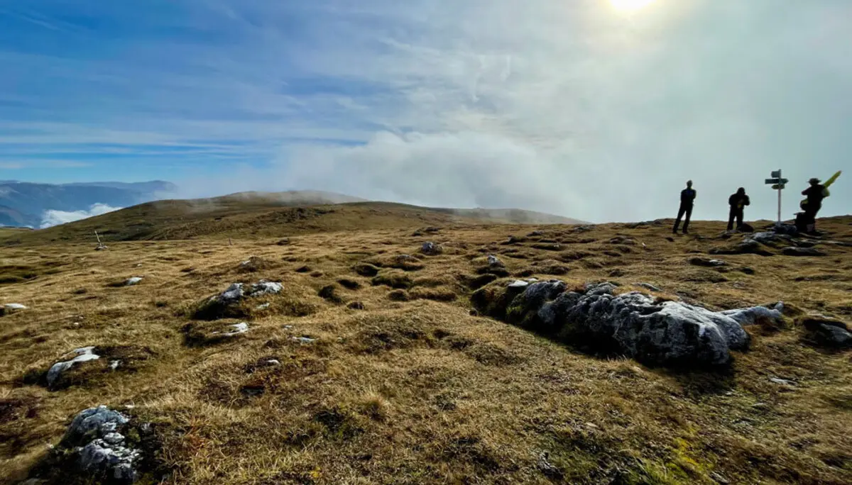 Auf der Veitschalpe | © Dr. Peter Sickenberger