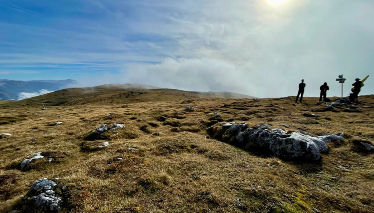 Auf der Veitschalpe | © Dr. Peter Sickenberger