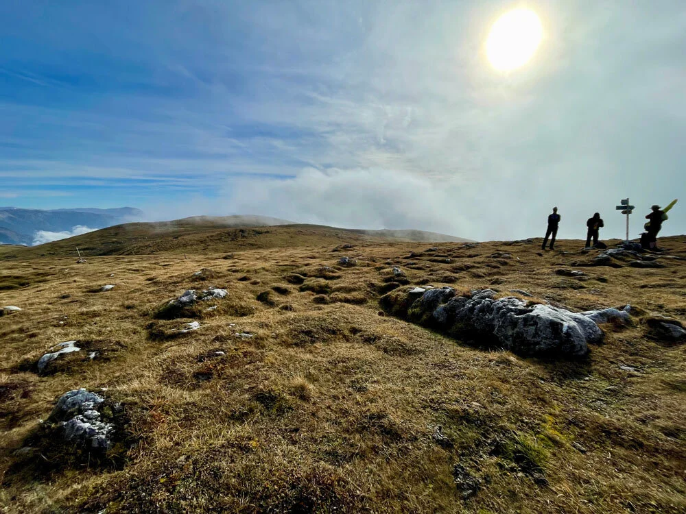 Auf der Veitschalpe | © Dr. Peter Sickenberger
