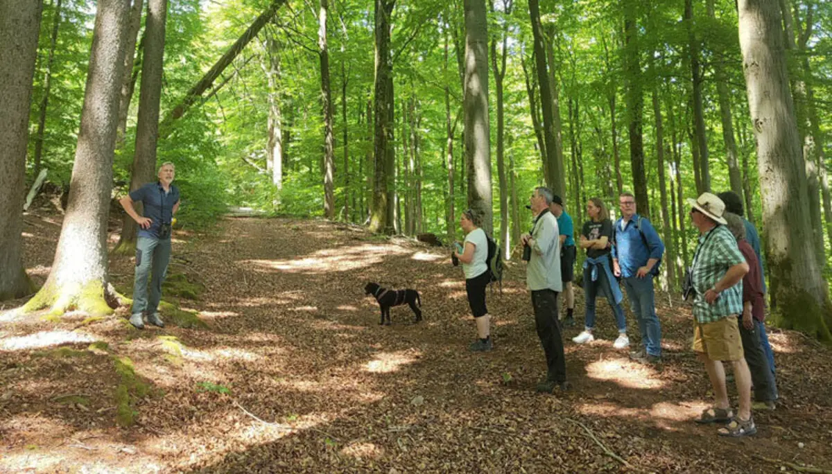 Treffen der Naturschutzverbände im Naturwaldreservat Kreuzbuckel | © DAV AB