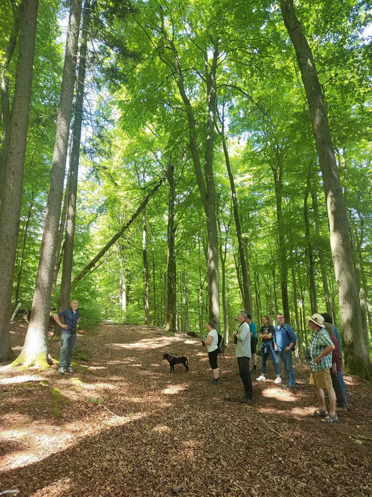Treffen der Naturschutzverbände im Naturwaldreservat Kreuzbuckel | © DAV AB