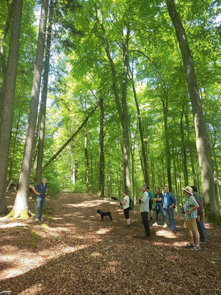 Treffen der Naturschutzverbände im Naturwaldreservat Kreuzbuckel | © DAV AB