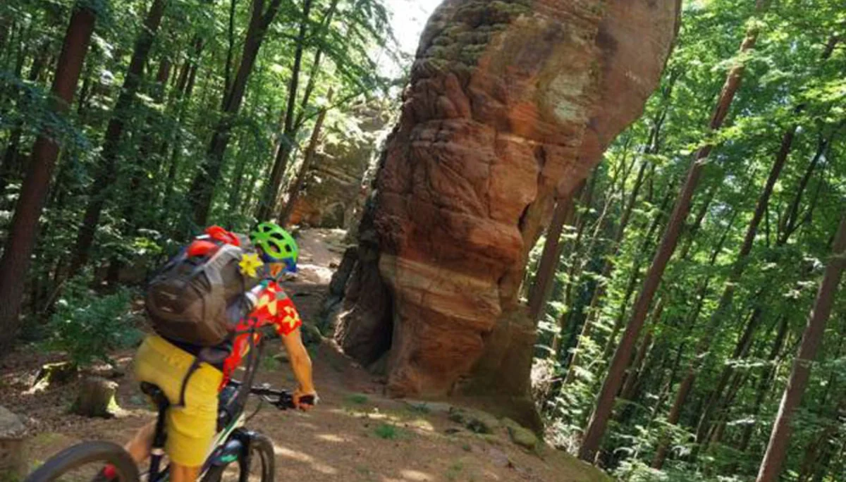 Pfalz Cross  mit Rucksack im südlichen Pfälzerwald | © Volkmar Zankl