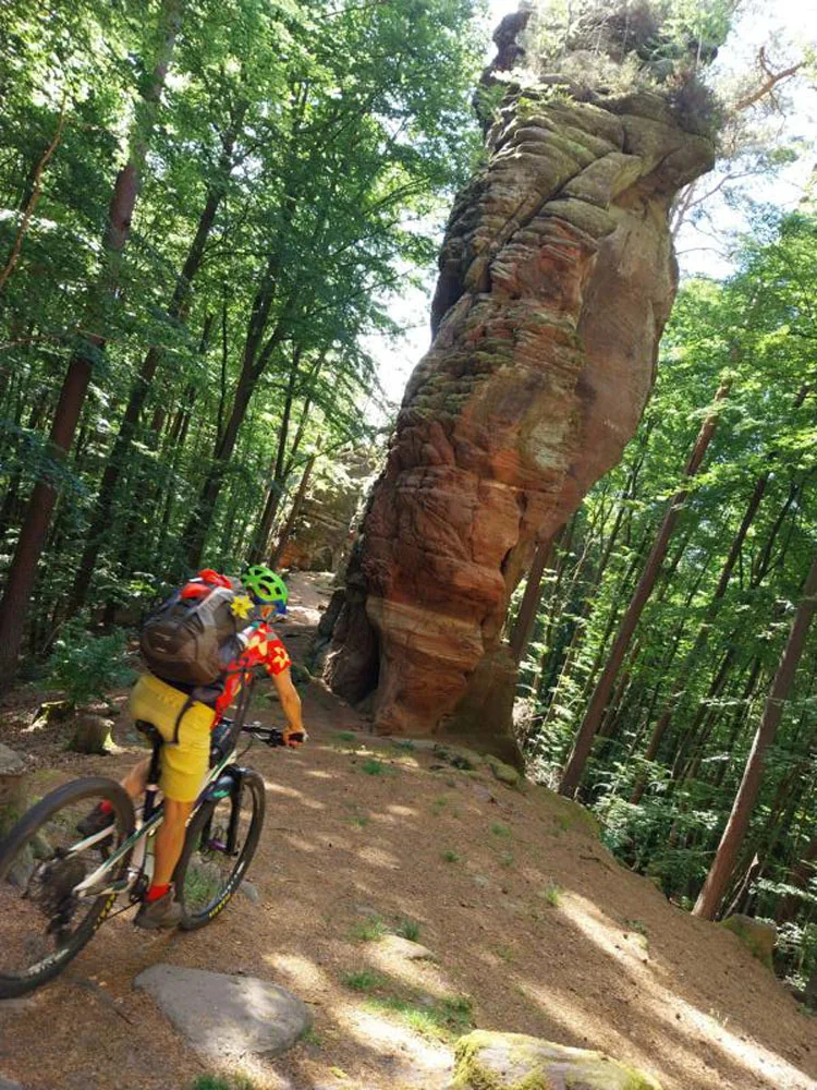 Pfalz Cross  mit Rucksack im südlichen Pfälzerwald | © Volkmar Zankl