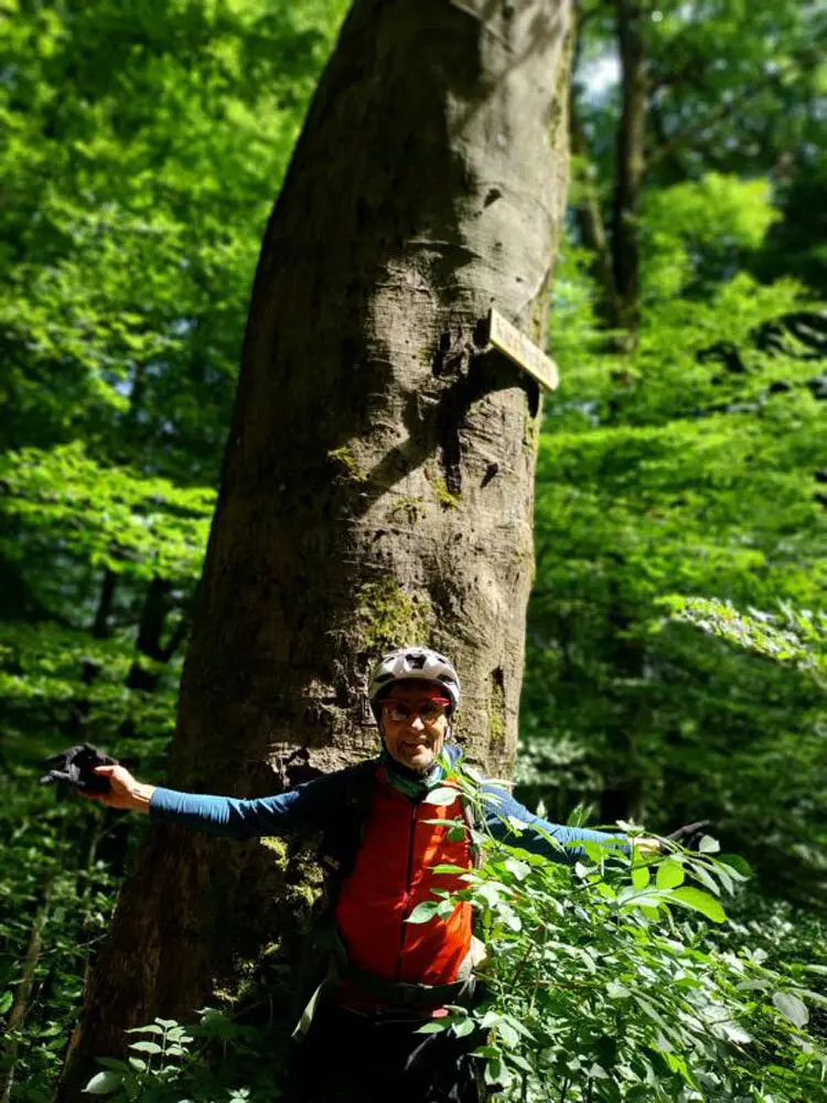 Pfalz Cross  mit Rucksack im südlichen Pfälzerwald | © Volkmar Zankl