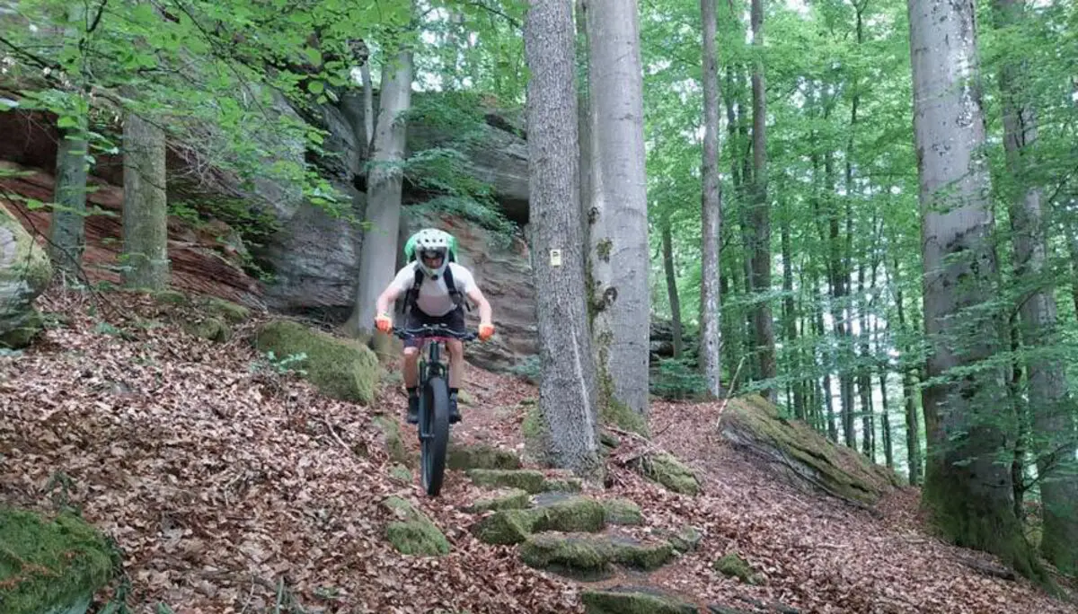 Pfalz Cross  mit Rucksack im südlichen Pfälzerwald | © Volkmar Zankl