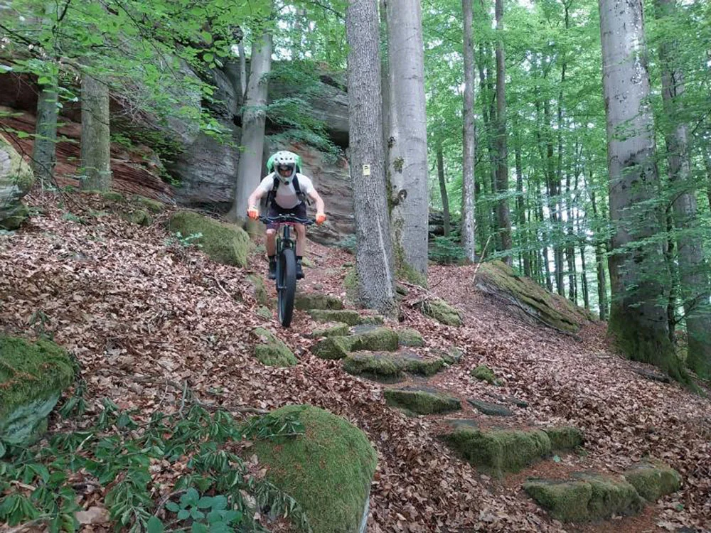 Pfalz Cross  mit Rucksack im südlichen Pfälzerwald | © Volkmar Zankl