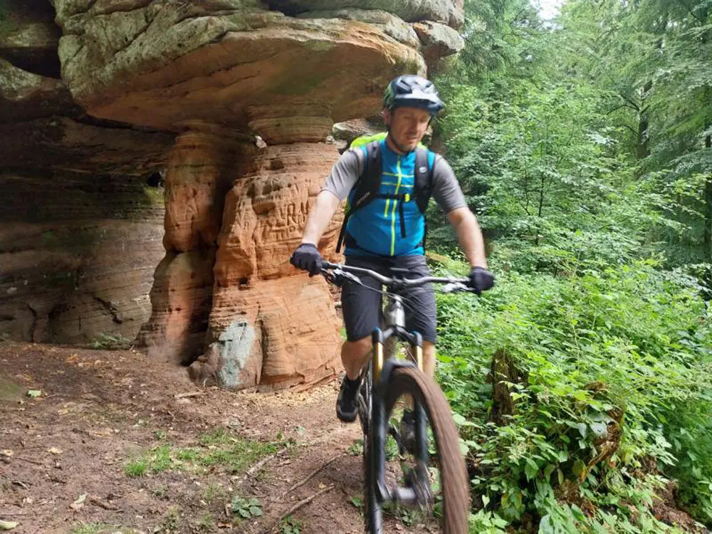 Pfalz Cross  mit Rucksack im südlichen Pfälzerwald | © Volkmar Zankl