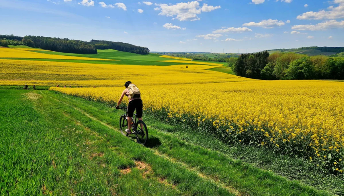 Mountainbiker  | © Erik Hofmann