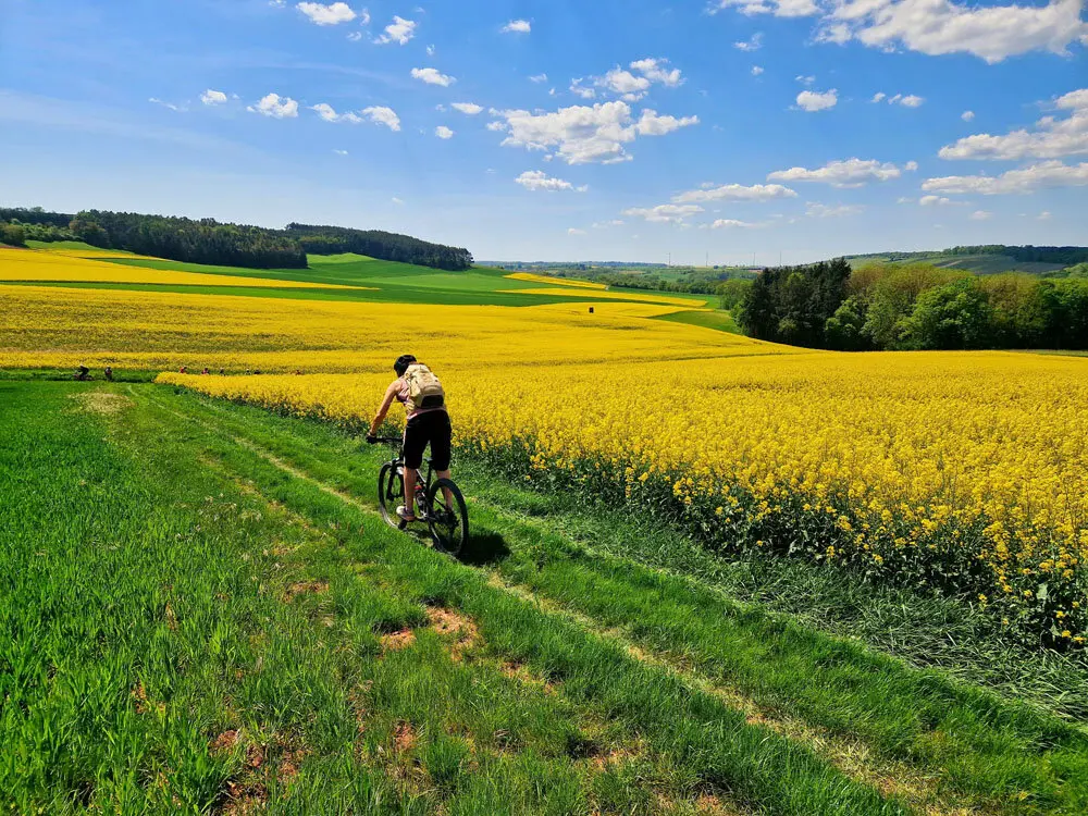 Mountainbiker  | © Erik Hofmann