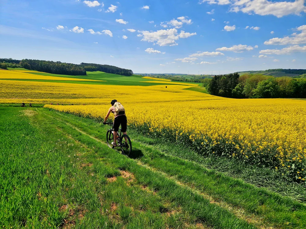 Mountainbiker  | © Erik Hofmann