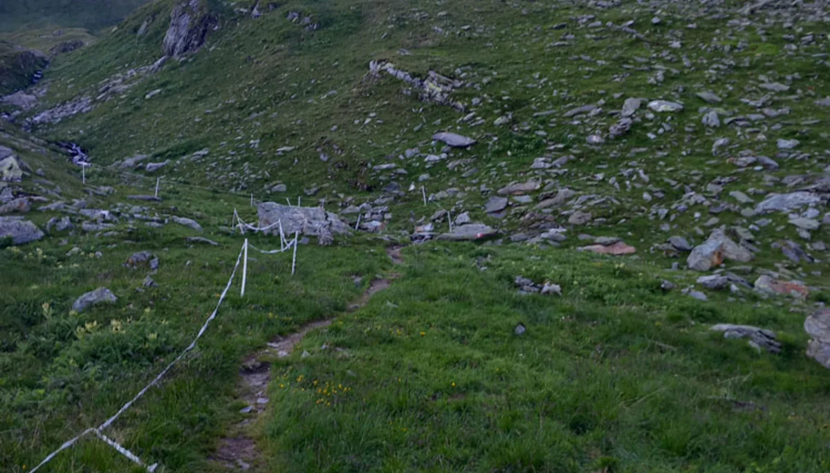Impressionen vom Kontrollgang unseres Wegewarts Josef Sickenberger am Aschaffenburger Höhenweg | © Josef Sickenberger