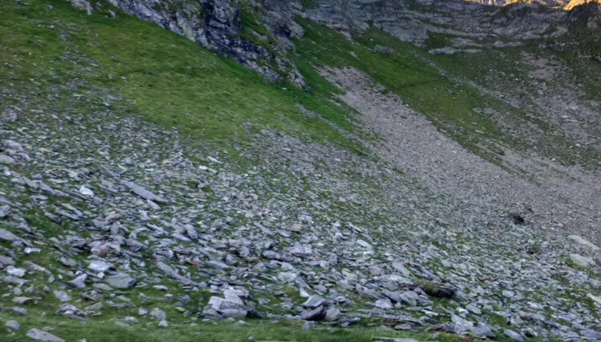 Impressionen vom Kontrollgang unseres Wegewarts Josef Sickenberger am Aschaffenburger Höhenweg | © Josef Sickenberger