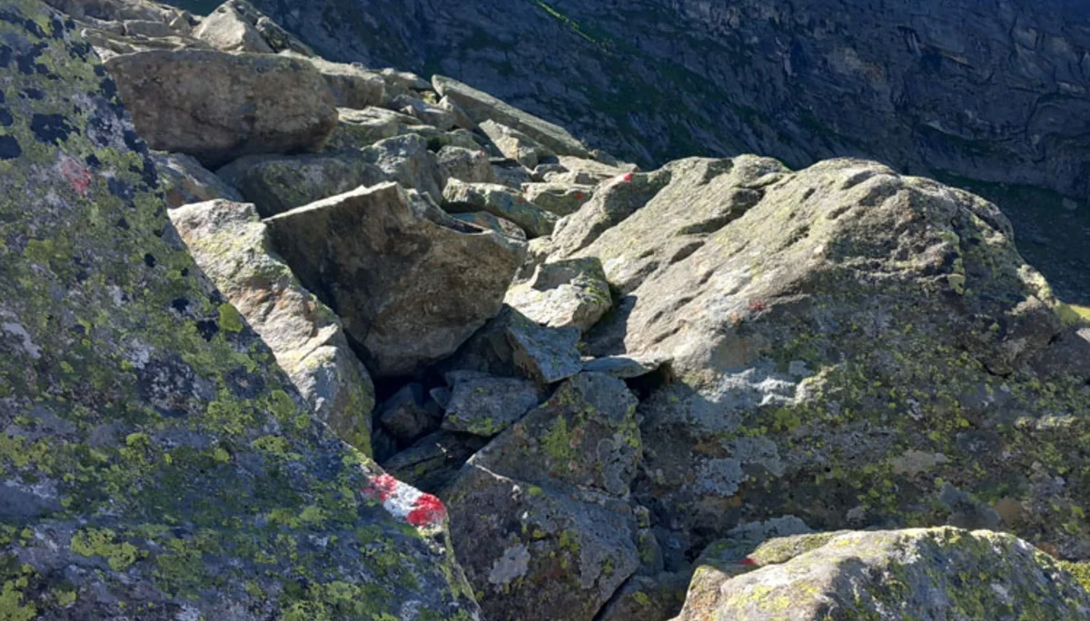 Impressionen vom Kontrollgang unseres Wegewarts Josef Sickenberger am Aschaffenburger Höhenweg | © Josef Sickenberger