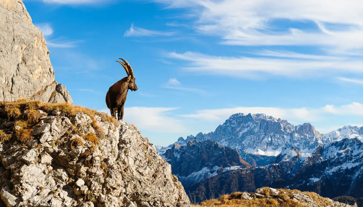 © Valentin Pardeller