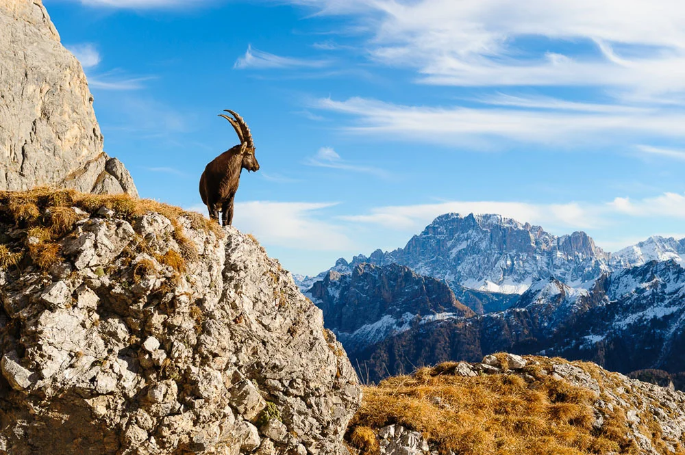 © Valentin Pardeller