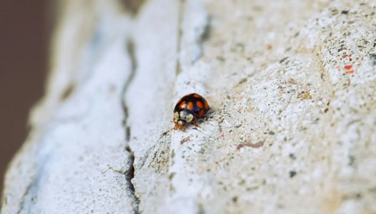 © Victoria Kurcheva / Unsplash