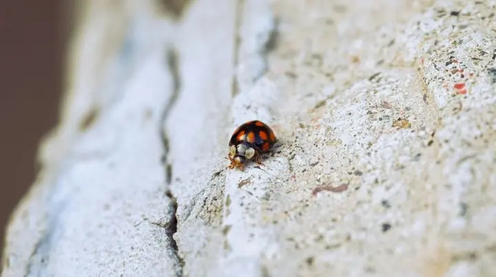 © Victoria Kurcheva / Unsplash