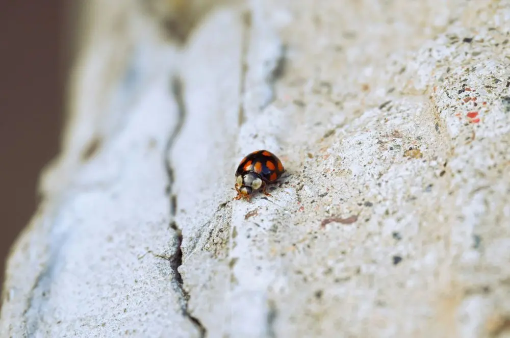 © Victoria Kurcheva / Unsplash