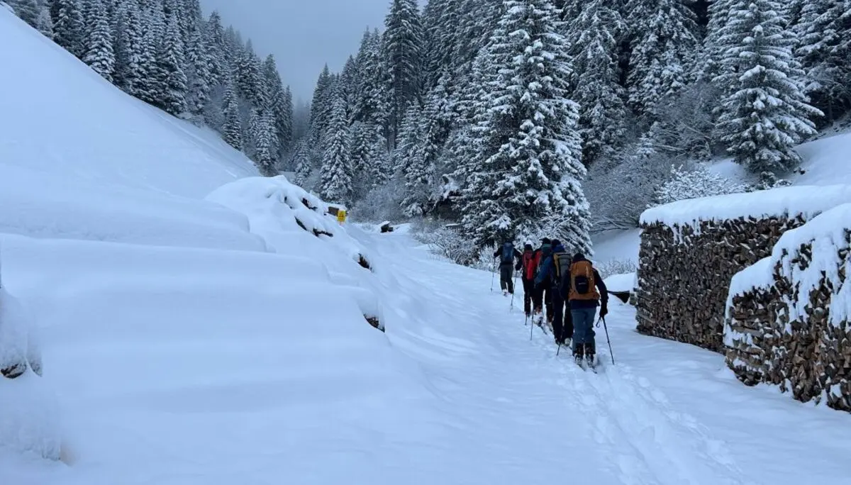 Ein Neuschneetraum | © Alex Leckert