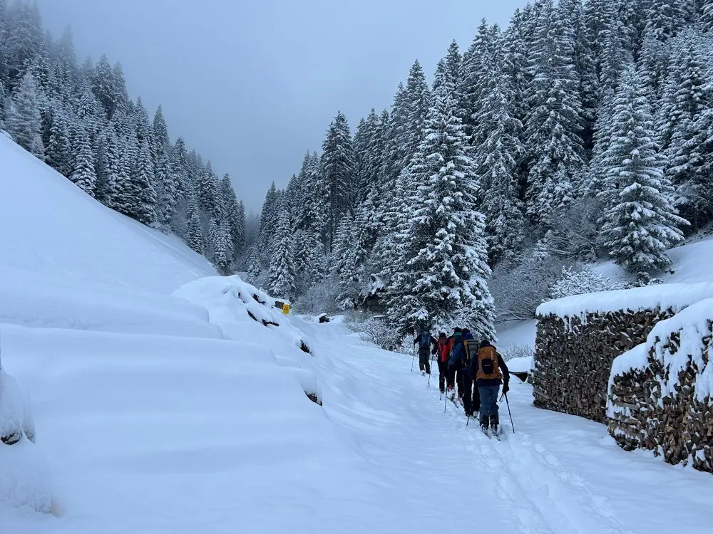 Ein Neuschneetraum | © Alex Leckert