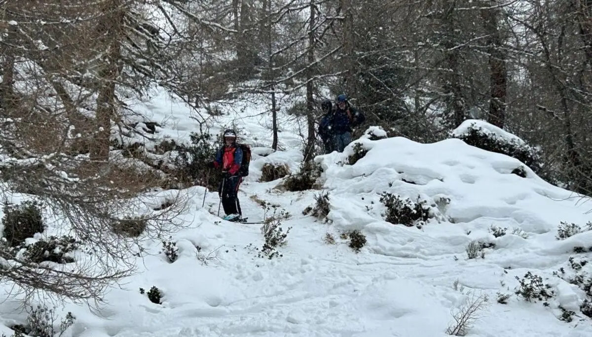 Wilde Waldabfahrt vom Hohen Napf | © Alex Leckert