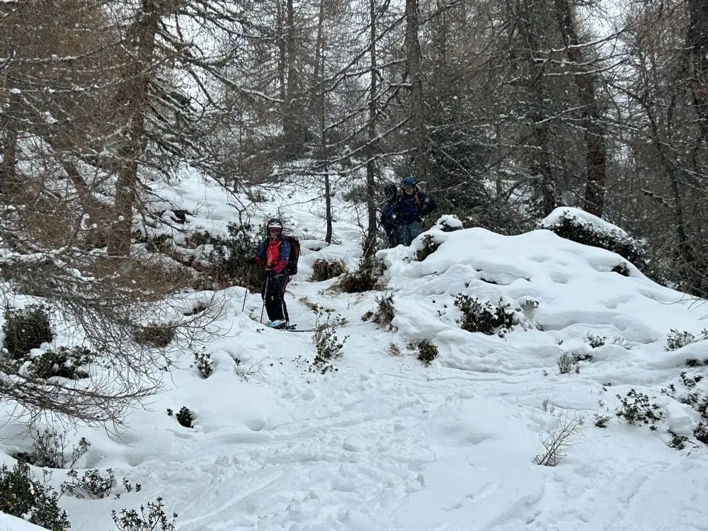 Wilde Waldabfahrt vom Hohen Napf | © Alex Leckert