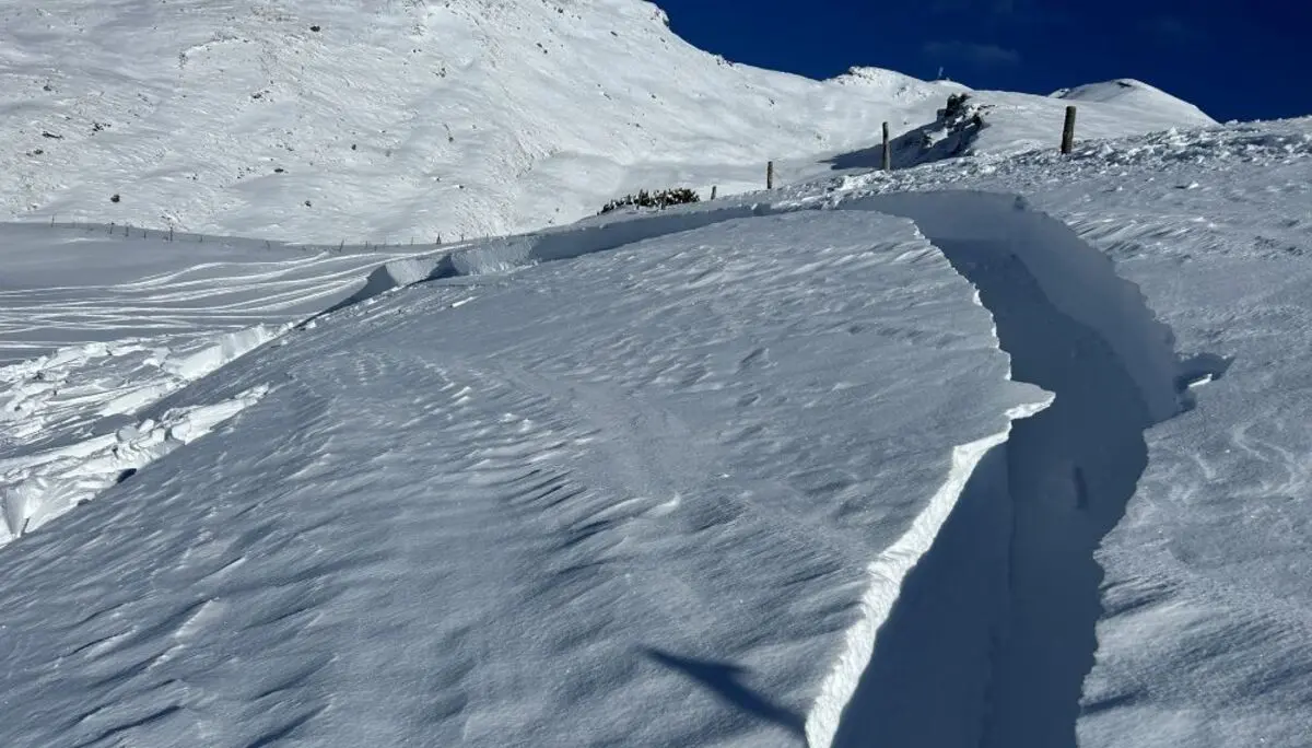 Anriss einer Schneebrettlawine | © Alex Leckert