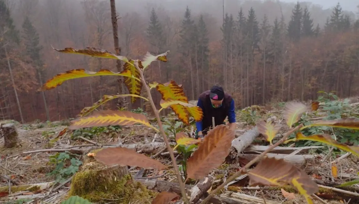 © Sabine Büttner und Volkmar Zankl