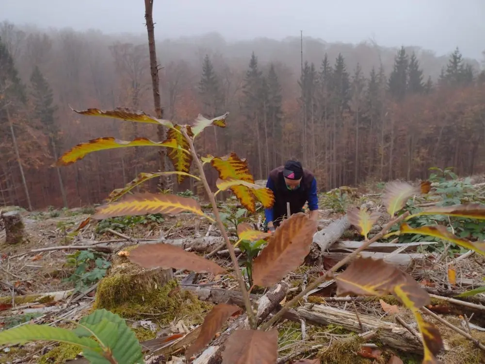 © Sabine Büttner und Volkmar Zankl