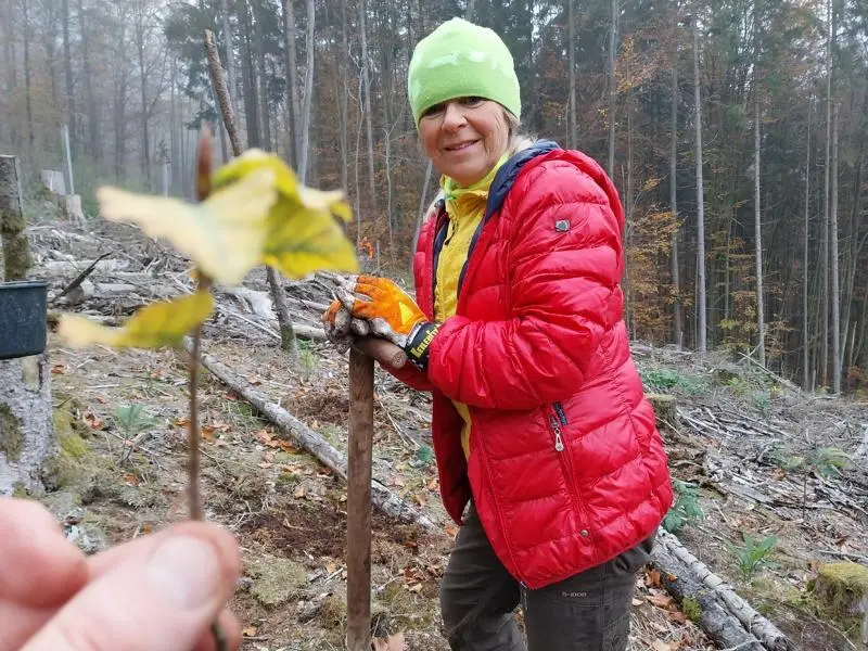 © Sabine Büttner und Volkmar Zankl