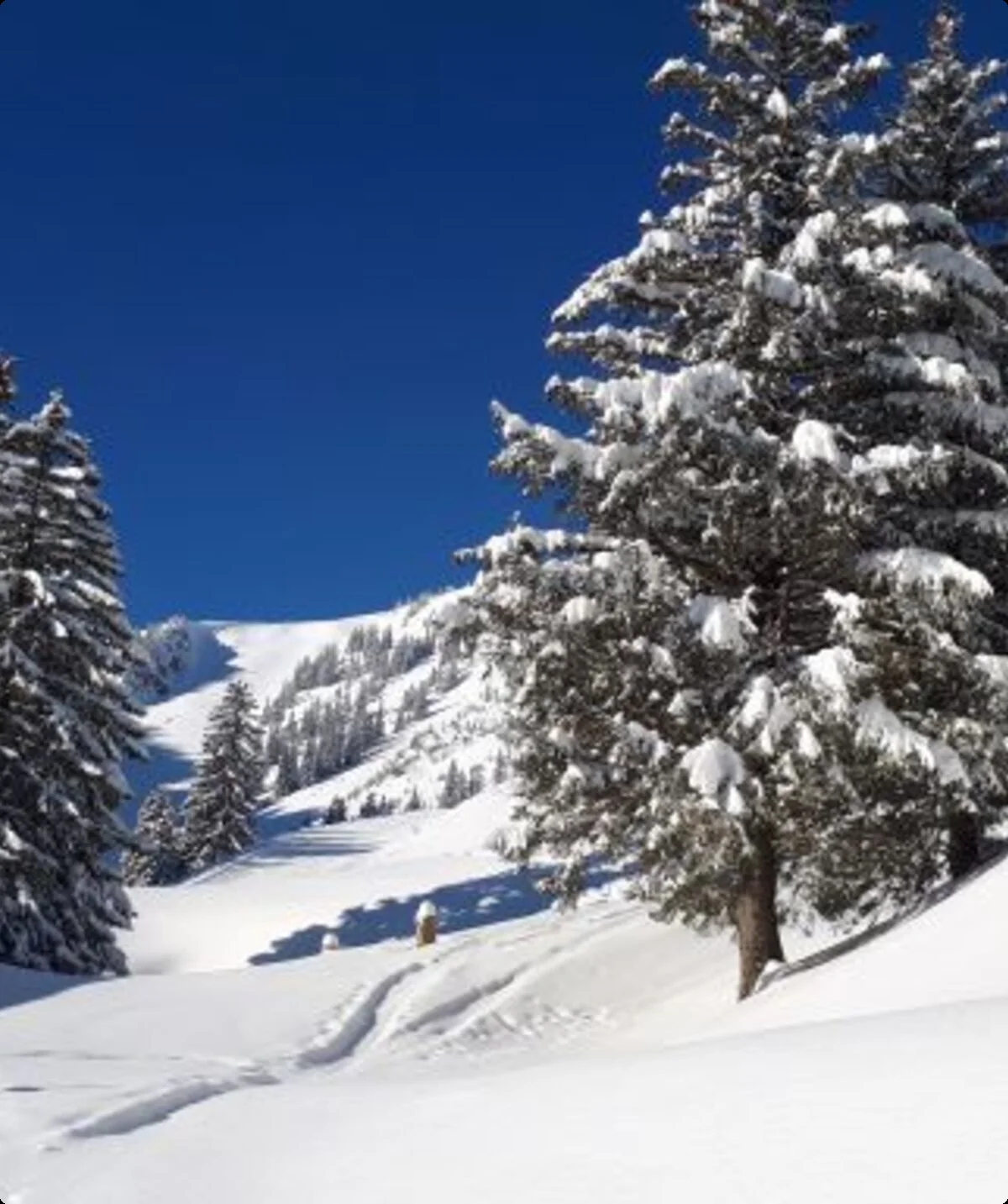 Winterlandschaft | © DAV AB