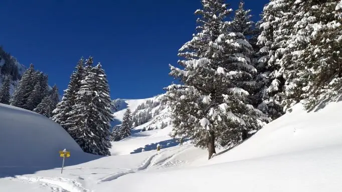 Winterlandschaft | © DAV AB