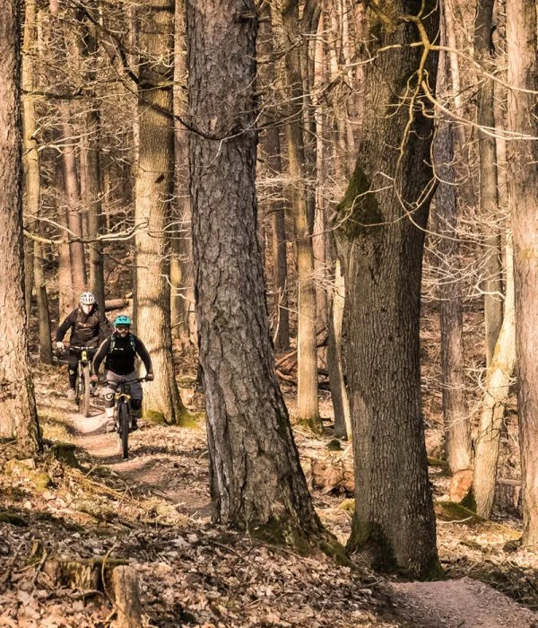 Moutenbiker am Hahnenkamm | © DAV AB
